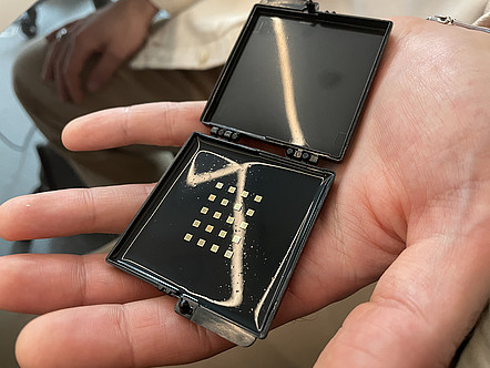 Schwarze Box mit 20 kleinen Mikrochips.